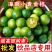 海南小金桔