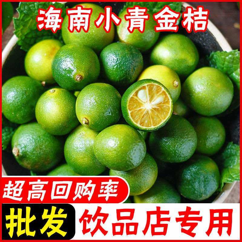 海南小金桔