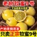 云南正宗钦蜜九号