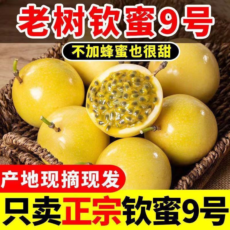 云南正宗钦蜜九号