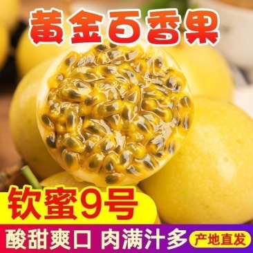 云南正宗钦蜜九号
