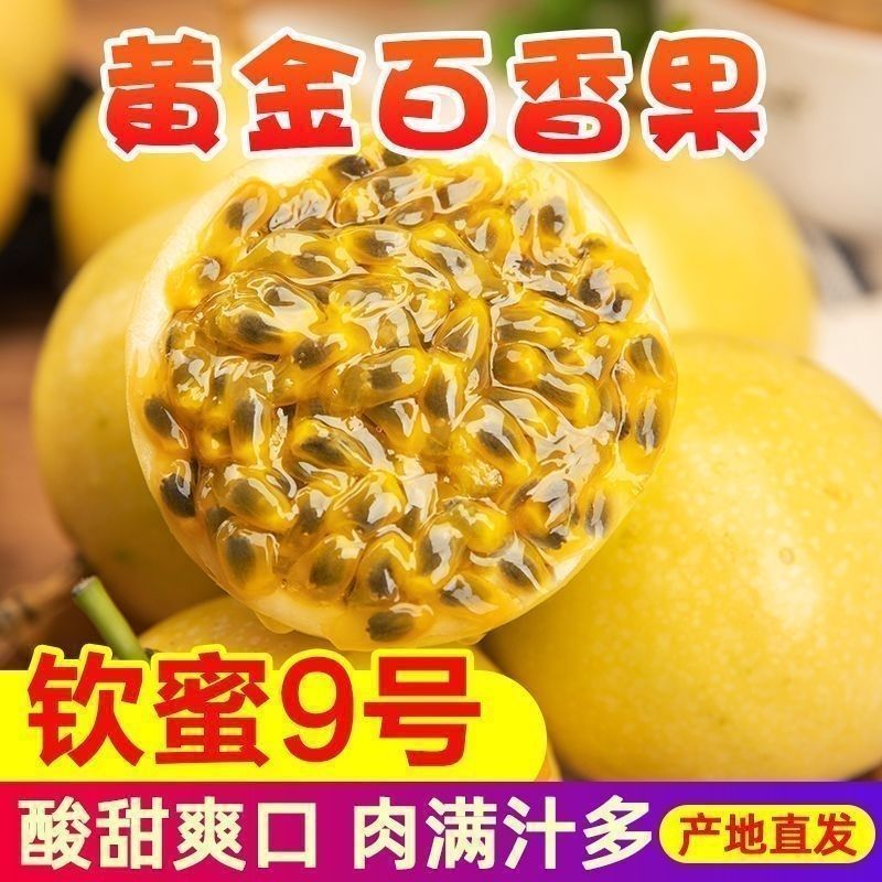 云南正宗钦蜜九号