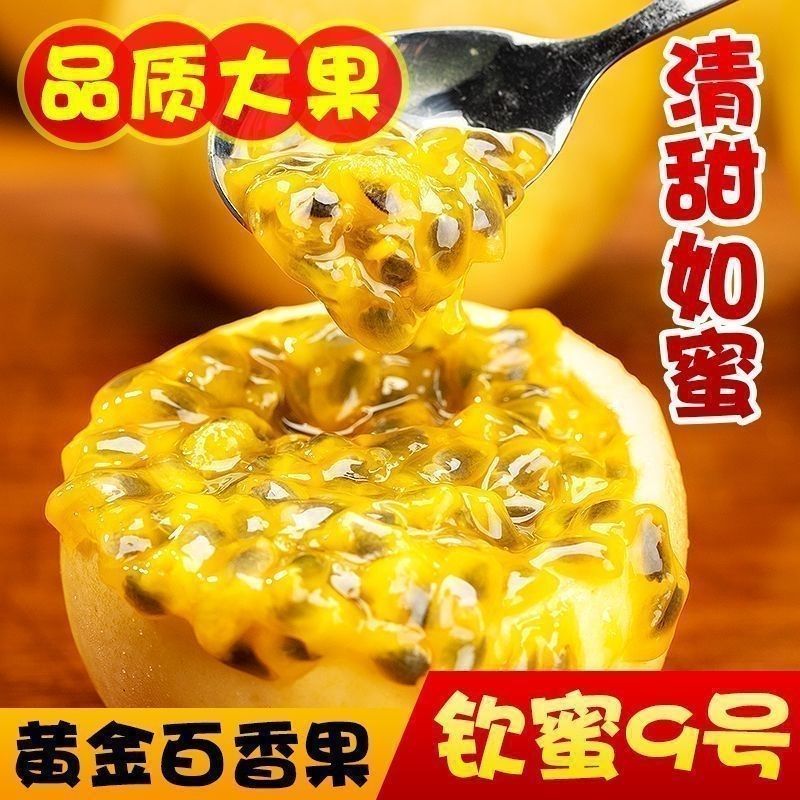 云南正宗钦蜜九号