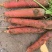 胡萝卜🥕，养殖场的专属