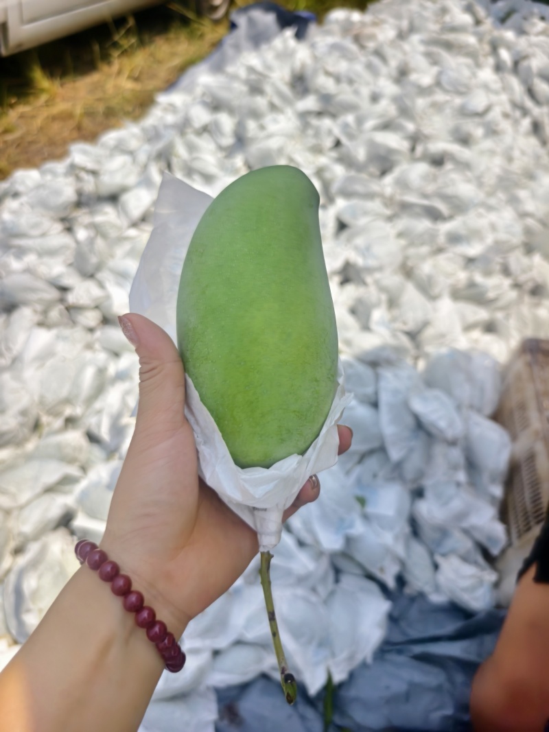 攀枝花芒果