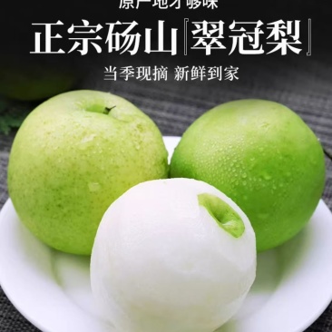 砀山梨