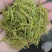 奶白茶，春料