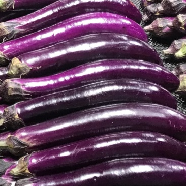 黑长茄子与紫长茄子🍆