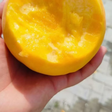郑州的中牟县的桃子