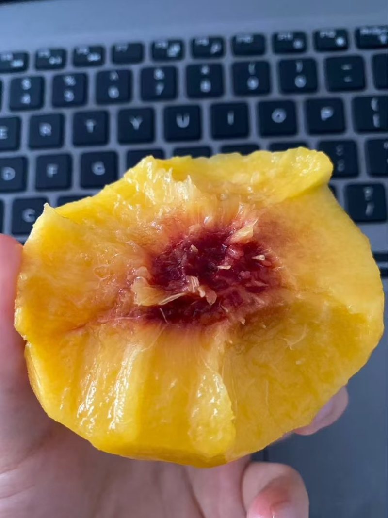 炎陵黄桃特价处理，给钱就卖！