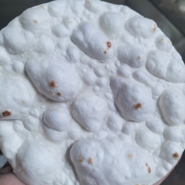 手工制作烧烤小饼