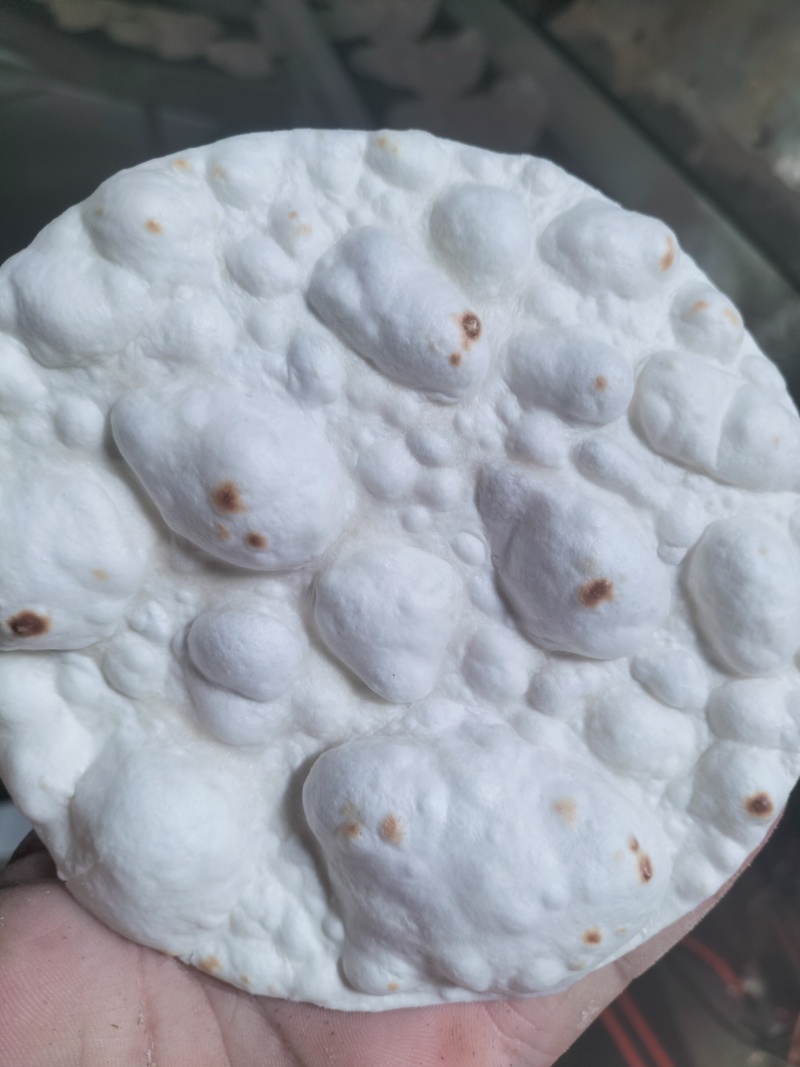 手工制作烧烤小饼