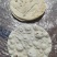 手工制作烧烤小饼