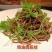 稻香肉块