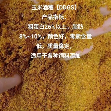 玉米酒糟DDGS