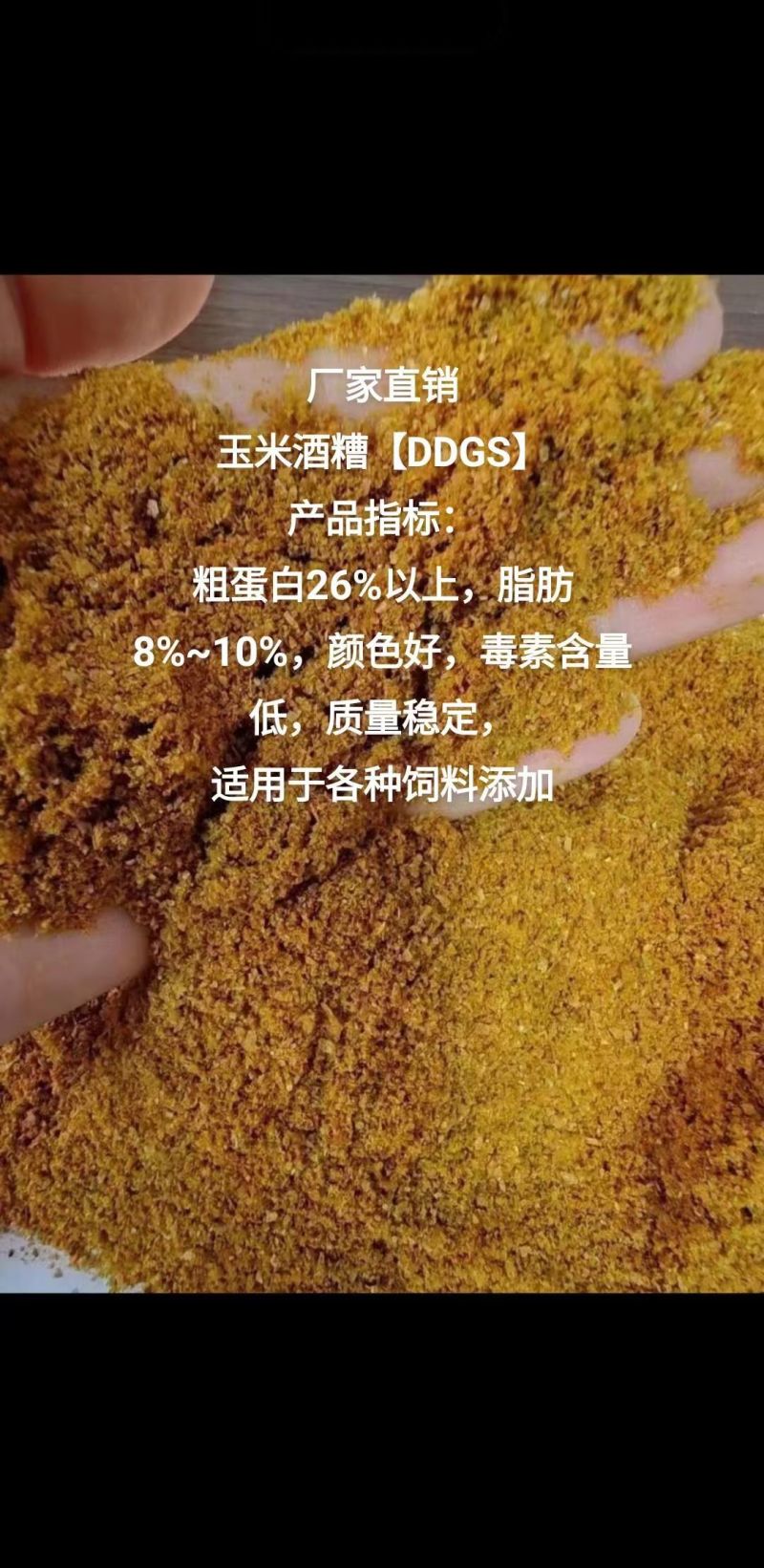 玉米酒糟DDGS