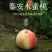 甘肃秦安北京7号水蜜桃