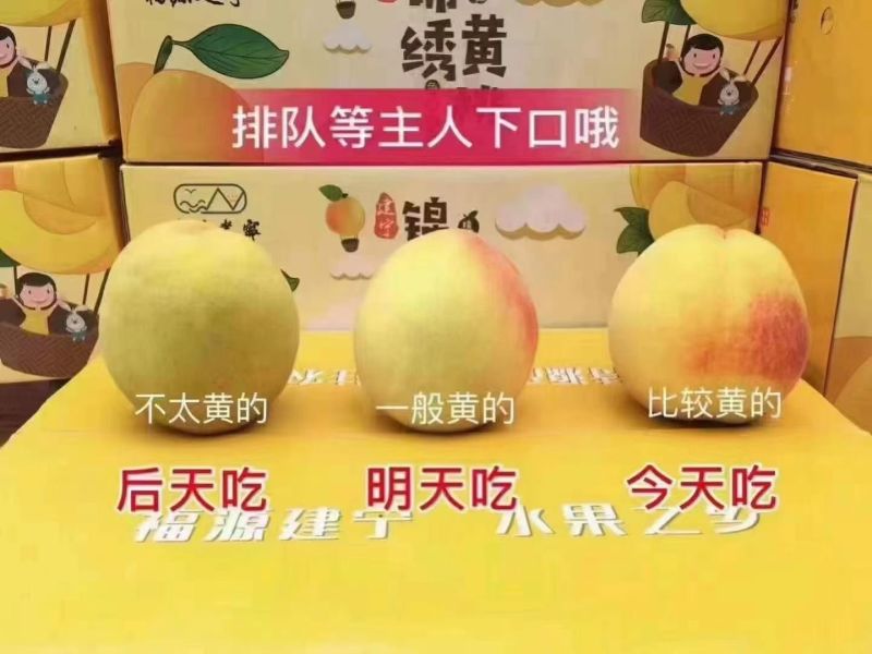 建宁锦绣黄桃