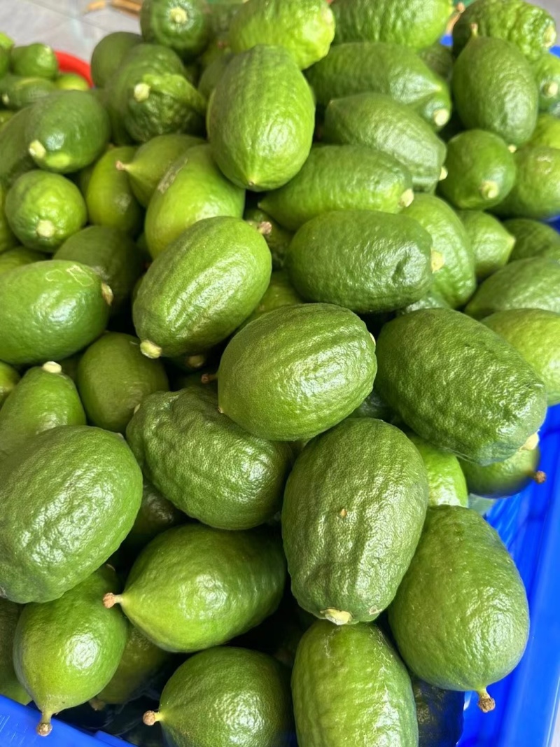 香水柠檬