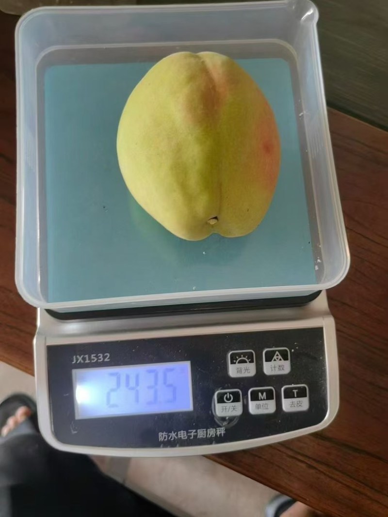 蜜桃鹰嘴桃