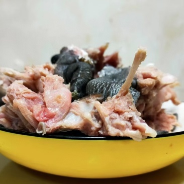 龟肉