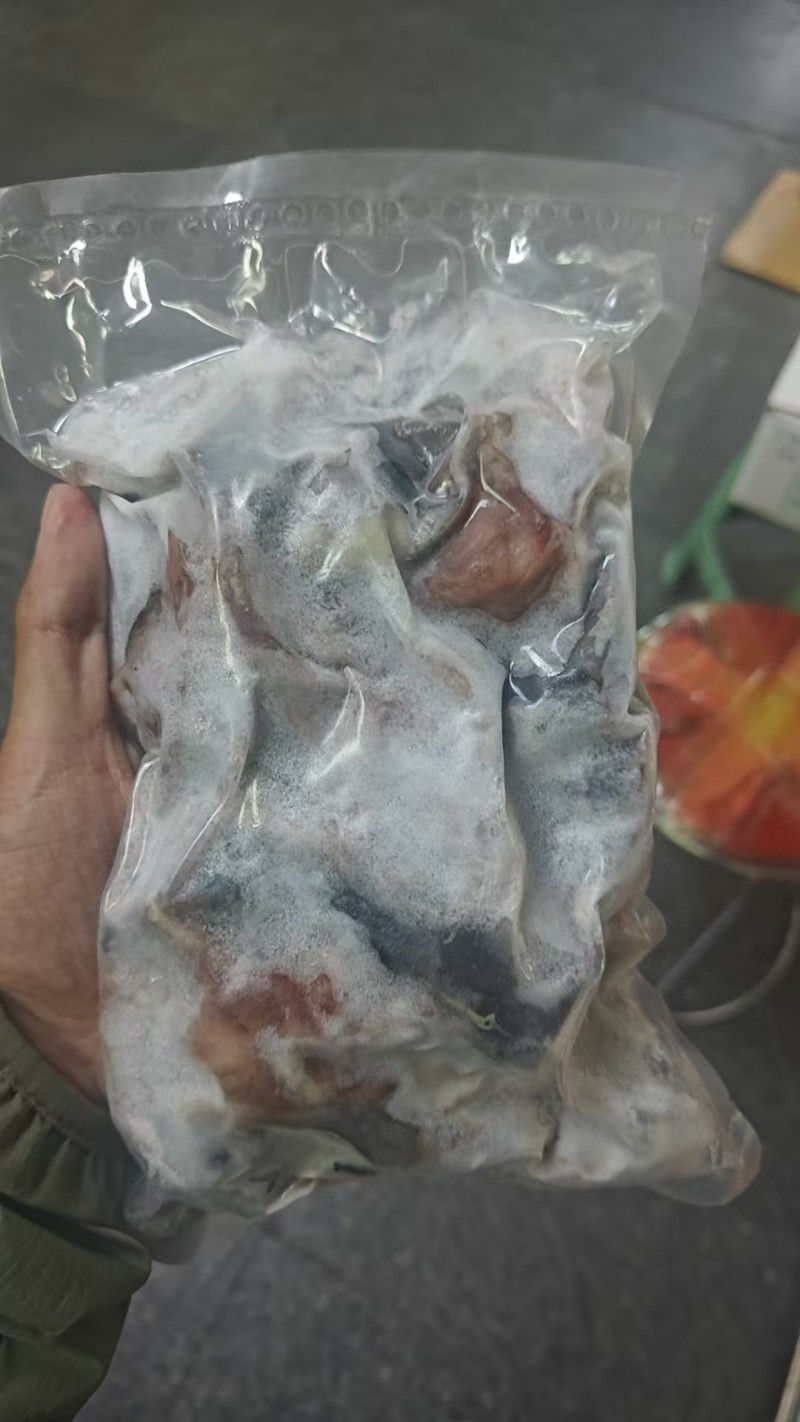 龟肉