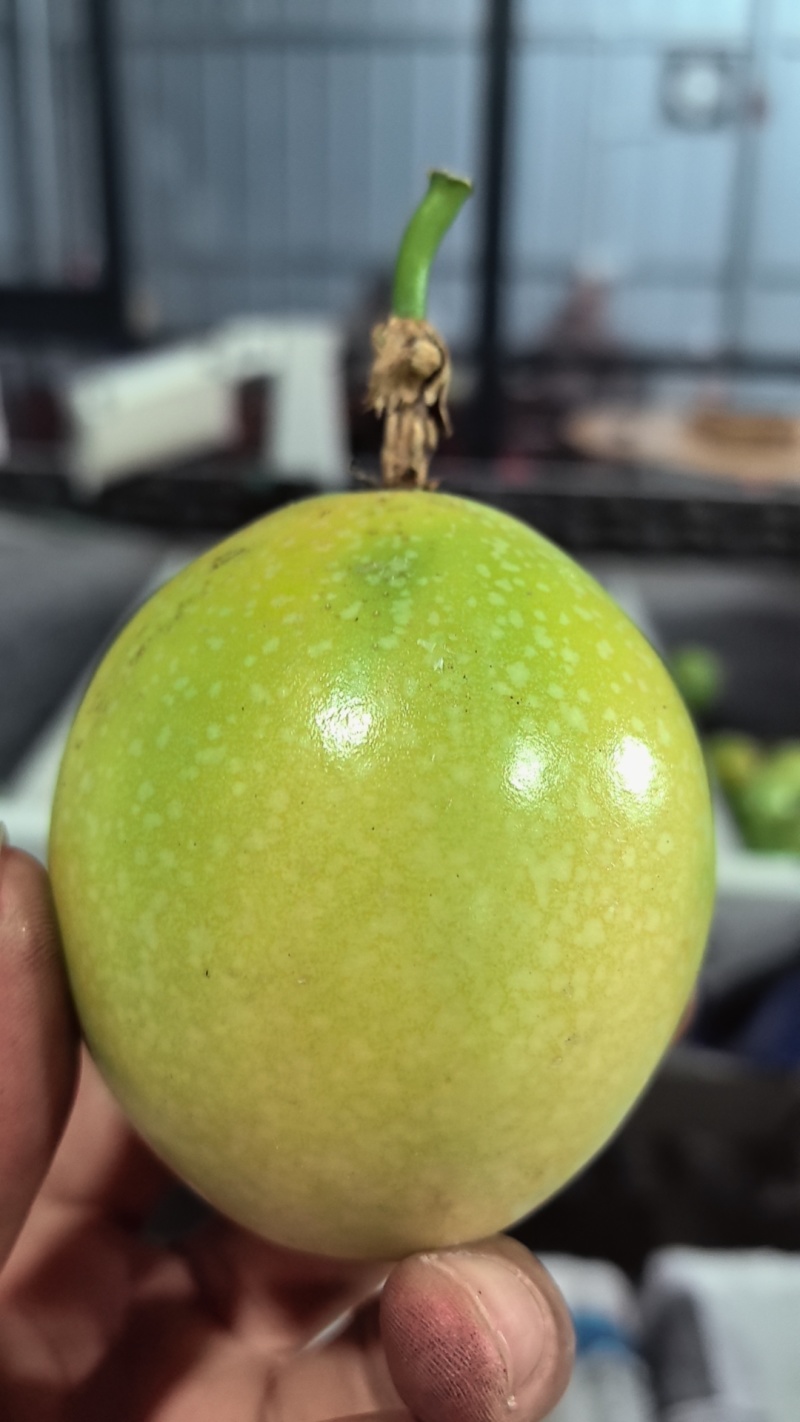 百香果饮蜜9号