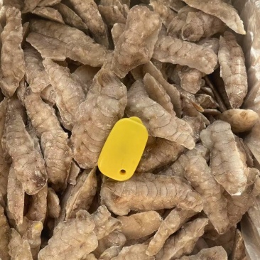 皮皮虾肉