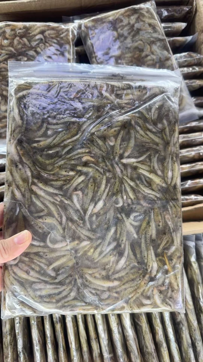 活冻小河虾