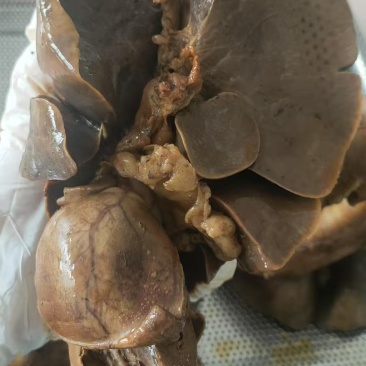五香羊心肺