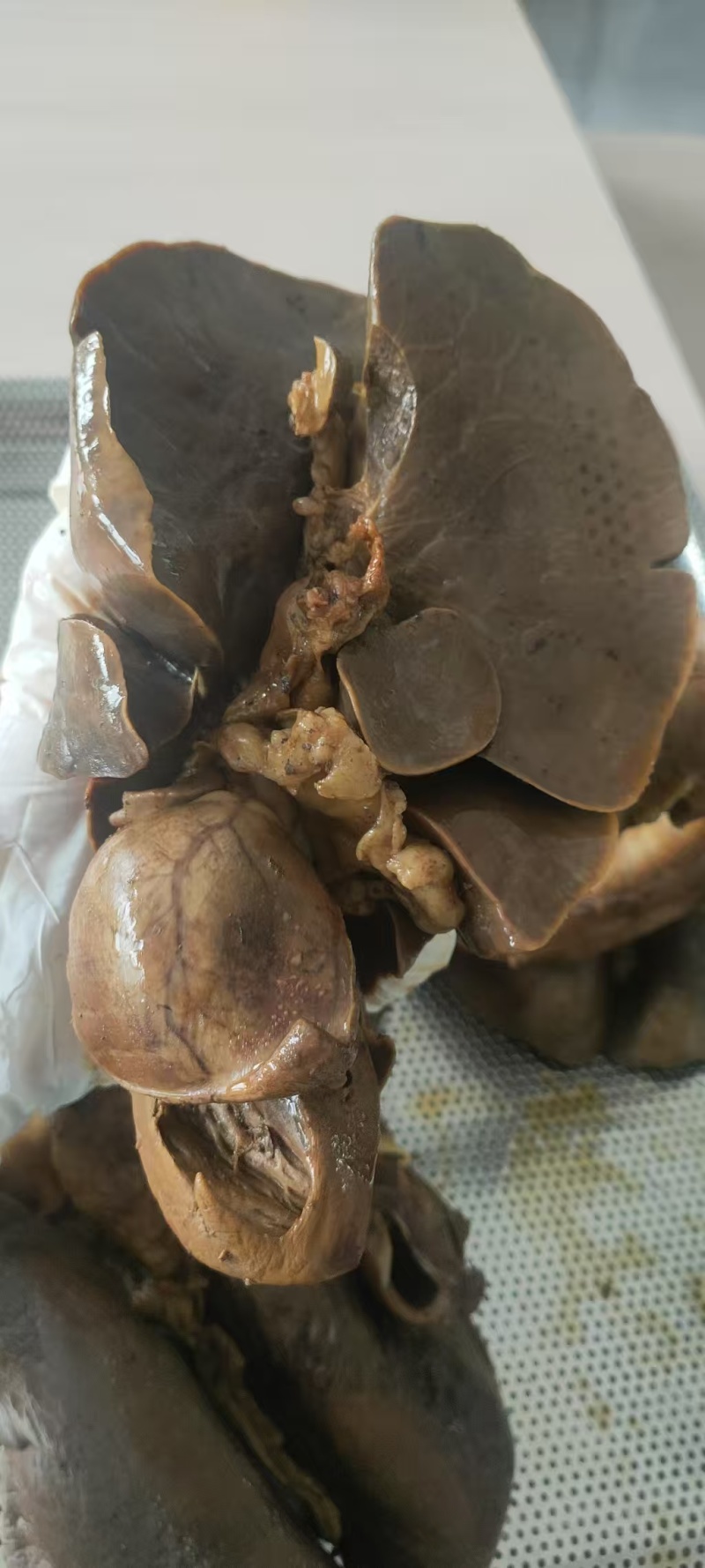 五香羊心肺