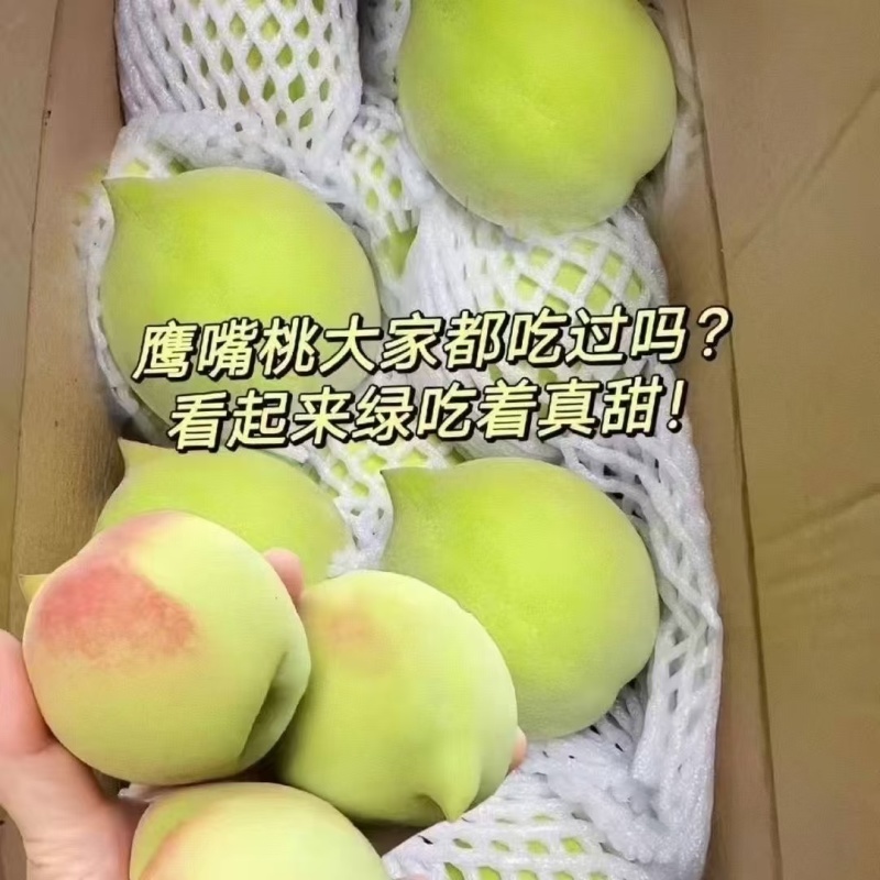 鹰嘴桃