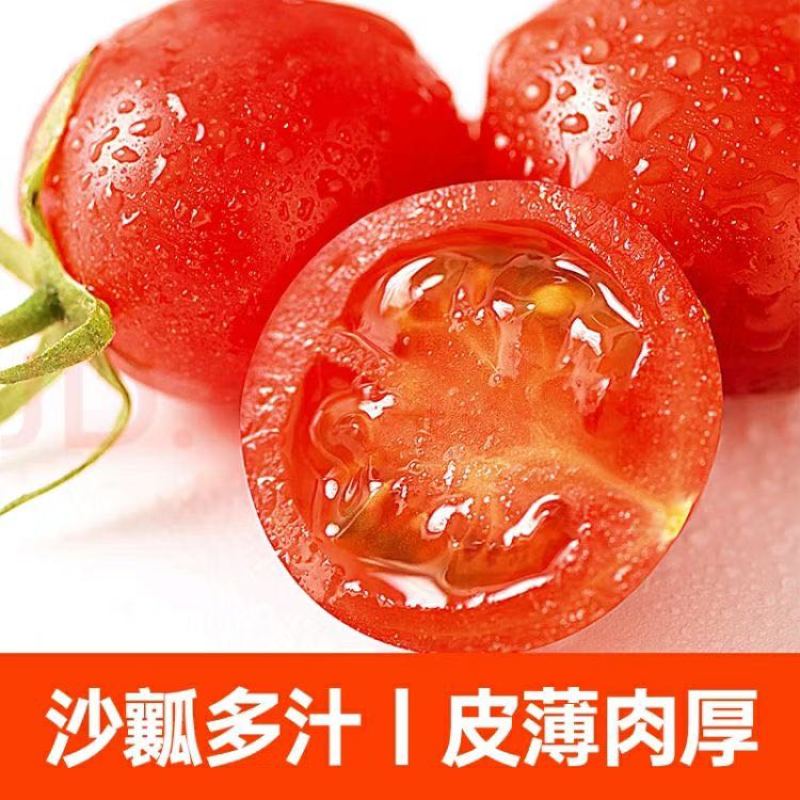 串收小番茄
