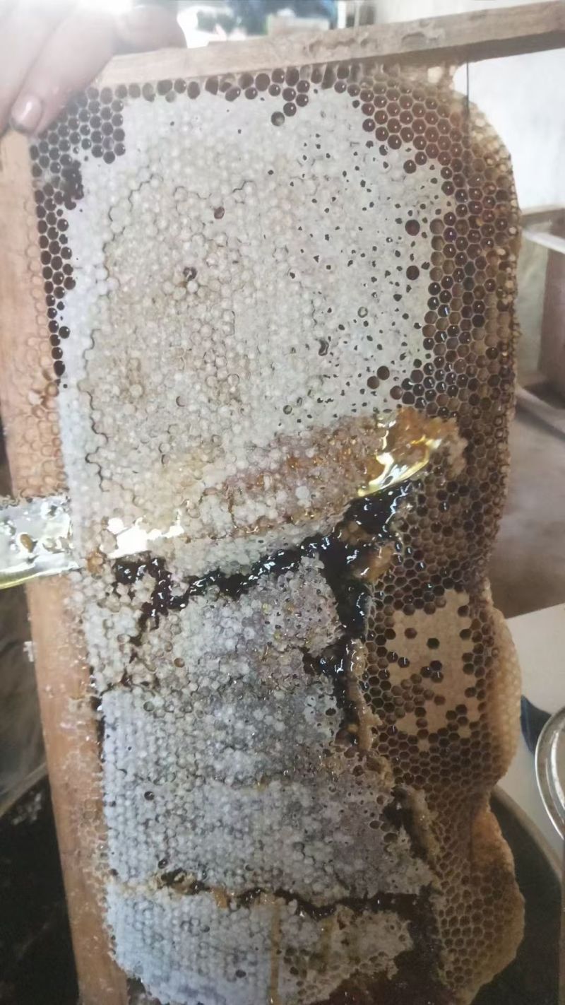蜂蜜