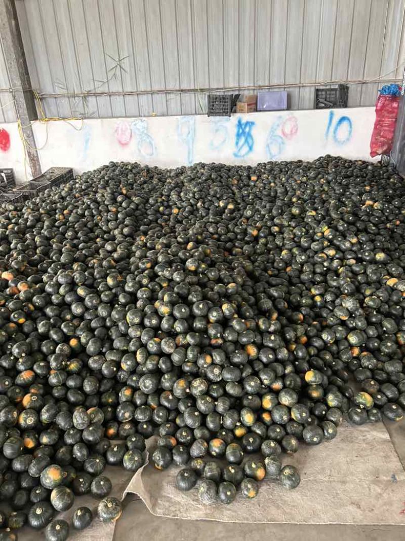 精品3到6皮毛干净粉度很好
