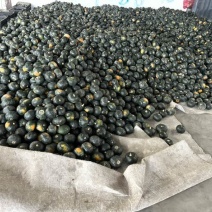精品3到6皮毛干净粉度很好