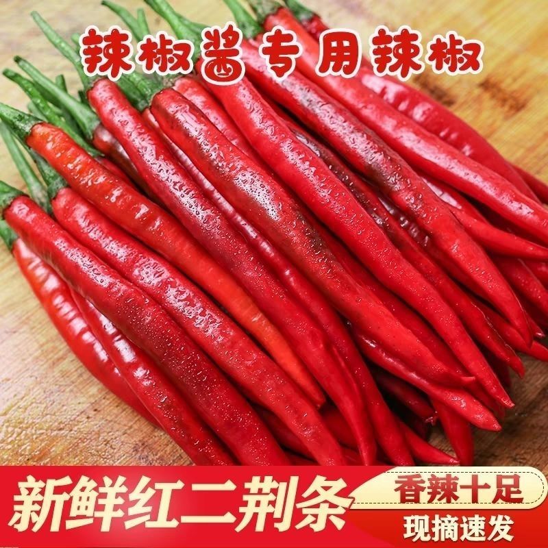 红线椒产地直发