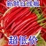 红线椒产地直发