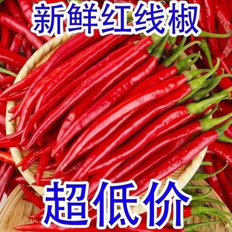 红线椒产地直发