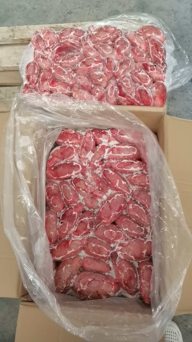 精修牛宝郑州现货***********