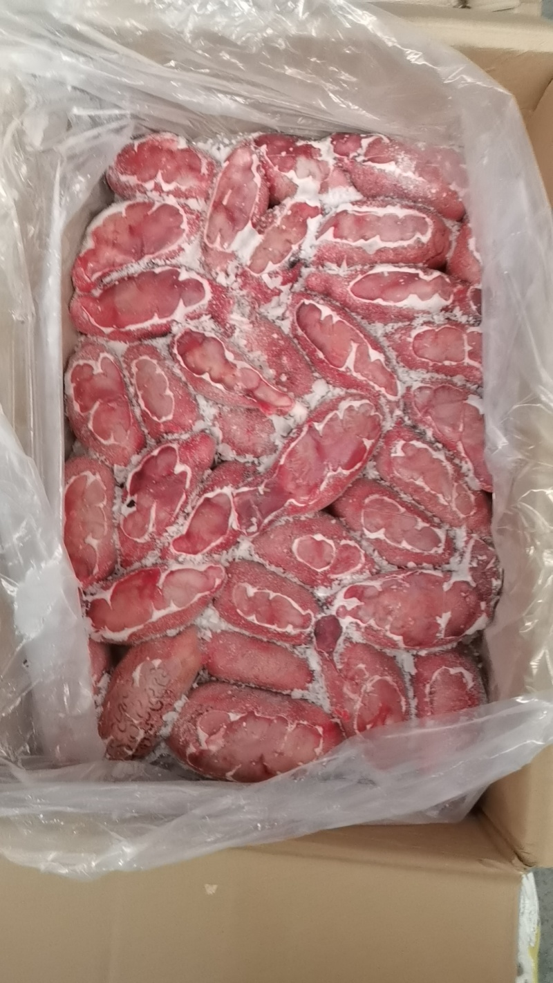 精修牛宝郑州现货***********