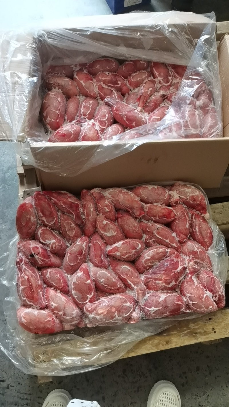 精修牛宝郑州现货***********