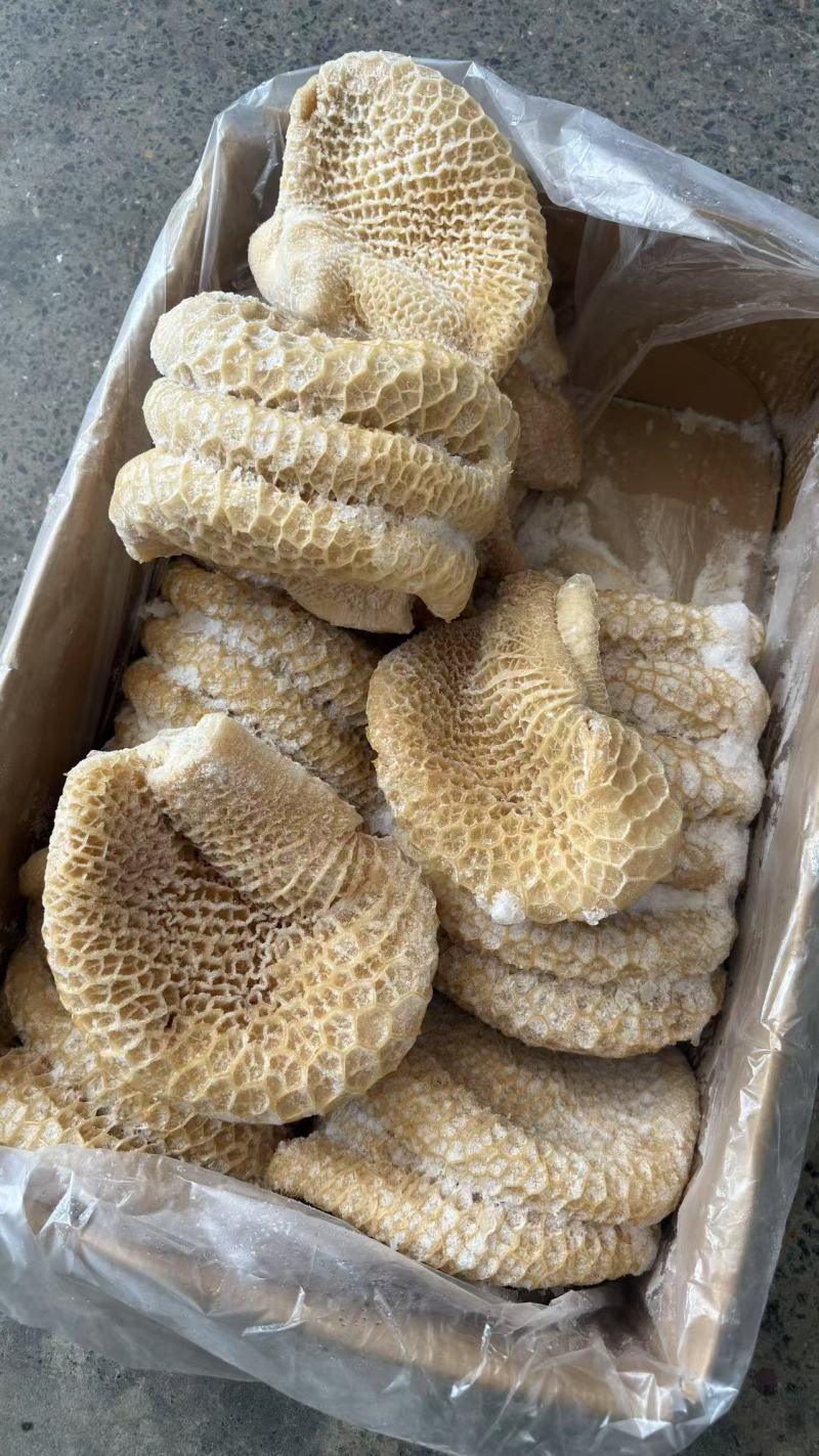 纯干金钱肚***********