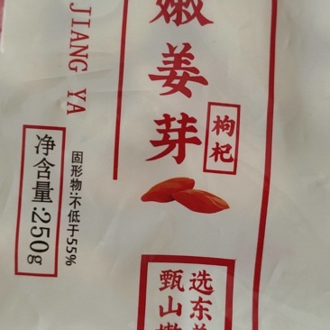 枸杞姜芽