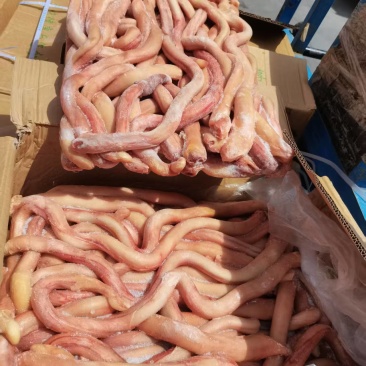 纯干分层装牛鞭郑州现货***********