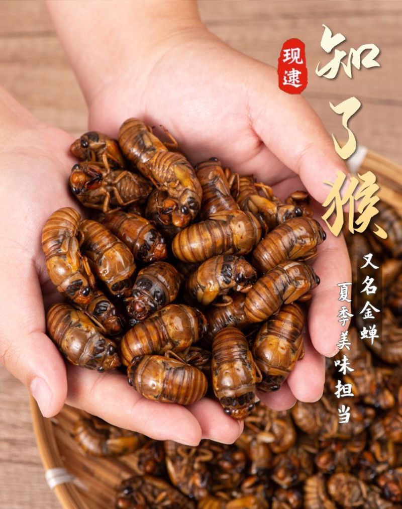 金蝉