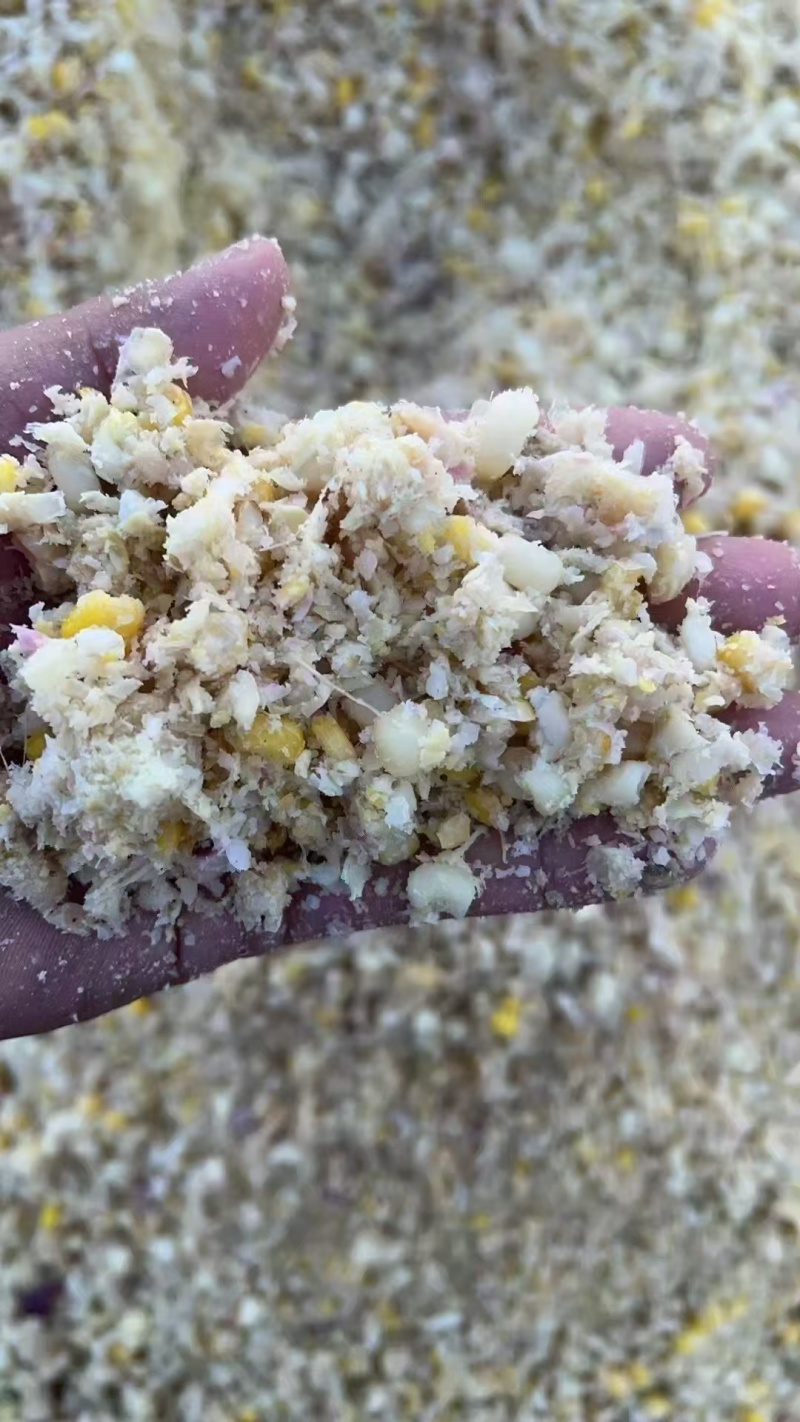 熟玉米饲料，真空包装，（可代替玉米）。