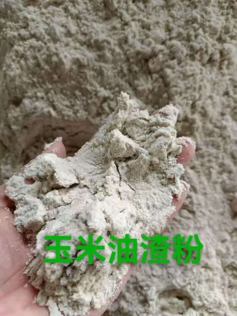 玉米油渣粉蛋白含量6-8个左右，脂肪8-10个左右