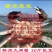 花雕蟹冷链车全国发货，大家注意一手货在这里