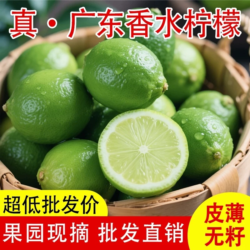 广东香水柠檬自家果园直发